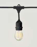 Ambience Pro LED Plug-in String Lights 1W