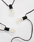 Ambience Globe LED Plug In String Lights