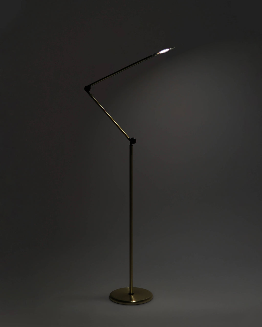 Sage 2-in-1 LED Floor and Table Lamp